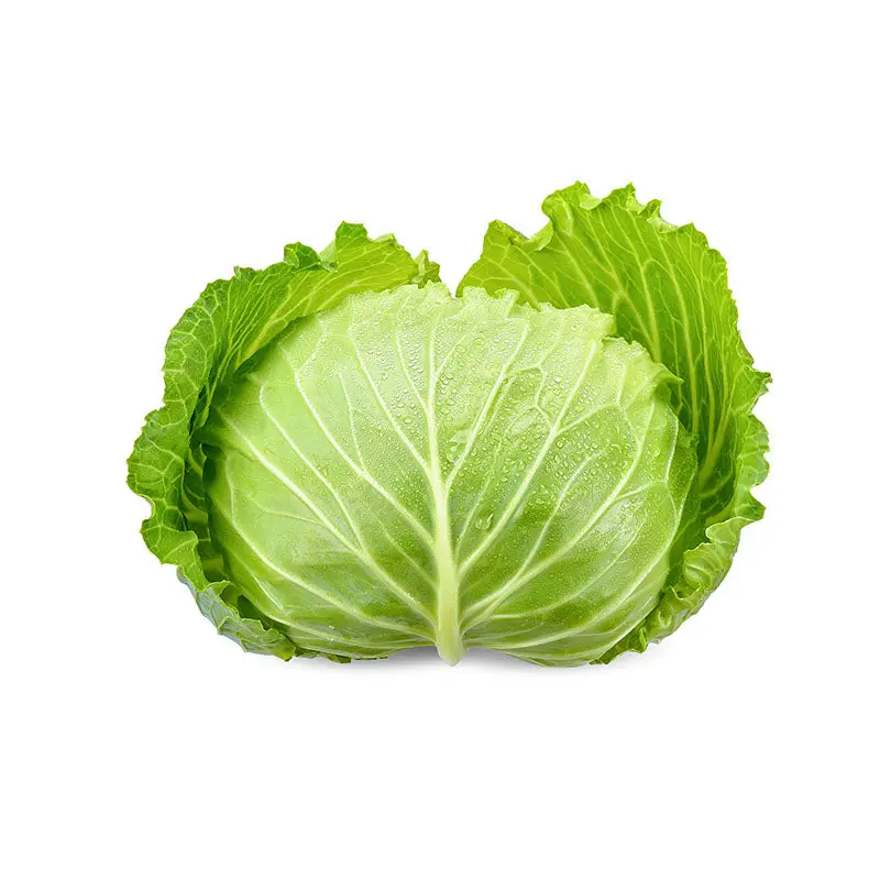 PCAB - Green Cabbage - 1CT