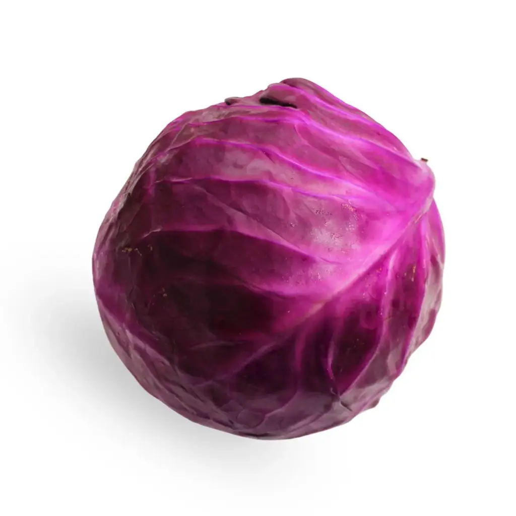 PCABR1 - Cabbage Red - 1CT