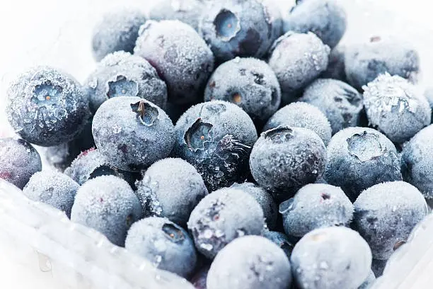 IQF FROZEN Blueberry - 6X2KG