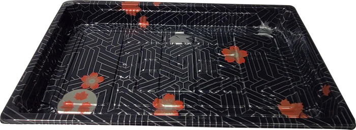 CLR Sushi Tray - HQ-20