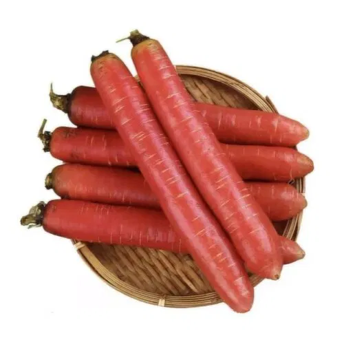 Fresh Red Carrot-Ch - 10kg - Case
