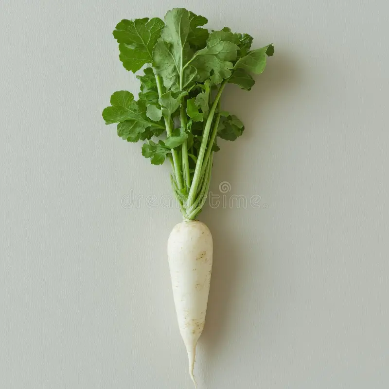 Daikon Leaf -1x 40lb