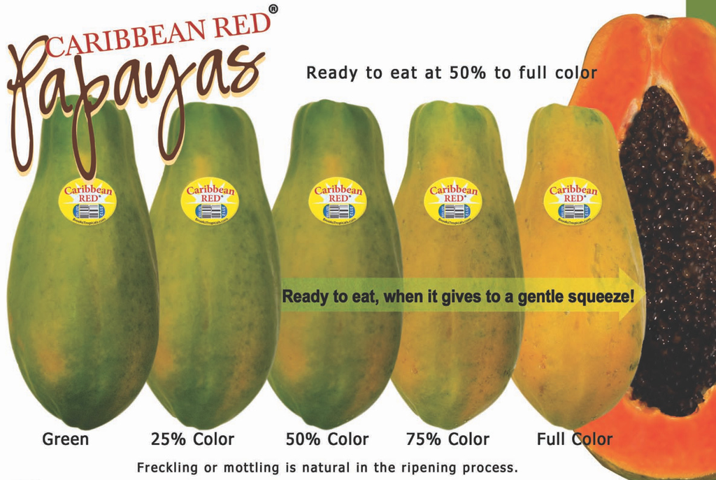 Ripe Papaya