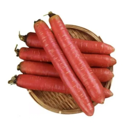 Nature Basket Indian Red Carrot-Ch-1x10kg
