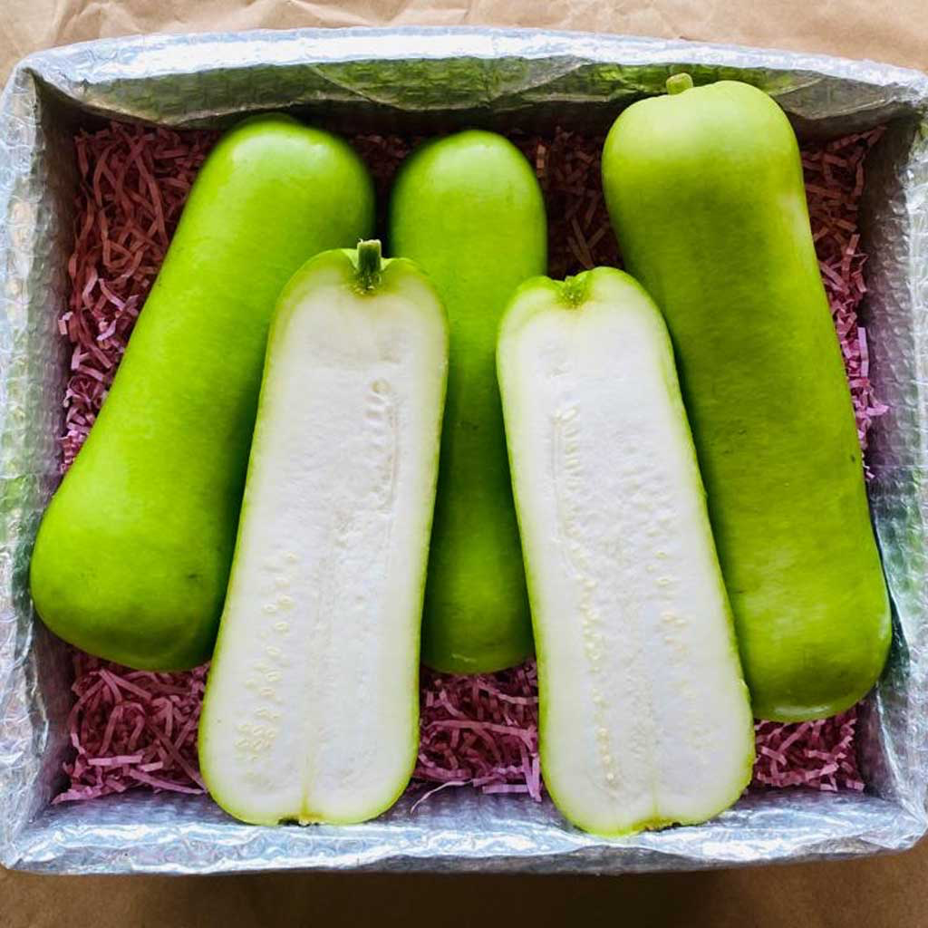 Chinese Long Squash-Mx-40lb