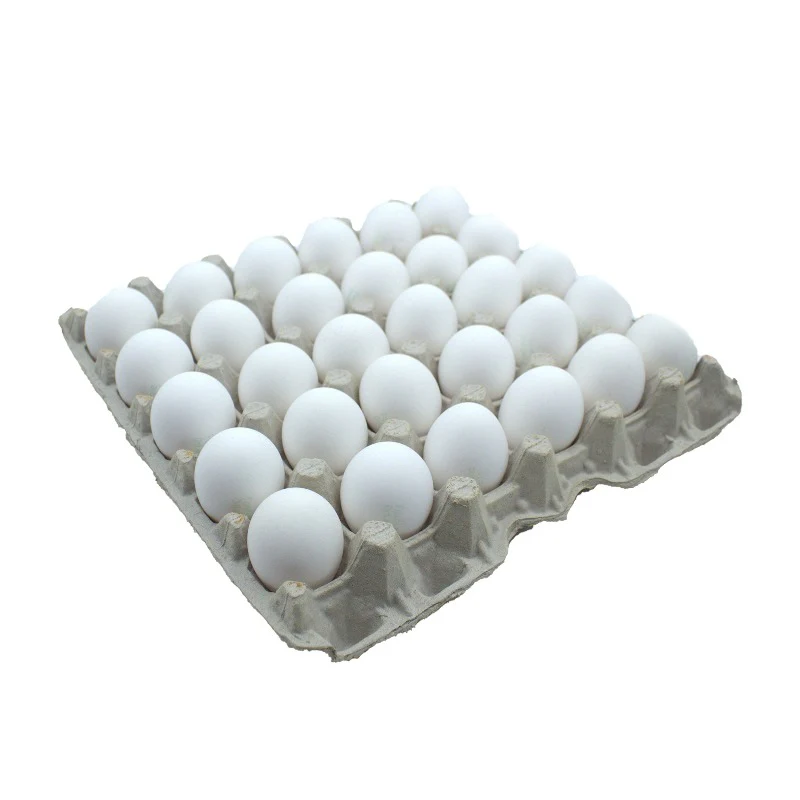Fresh Eggs Tray- 1ct