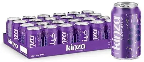 Kinza Blackcurrant 24x300ml