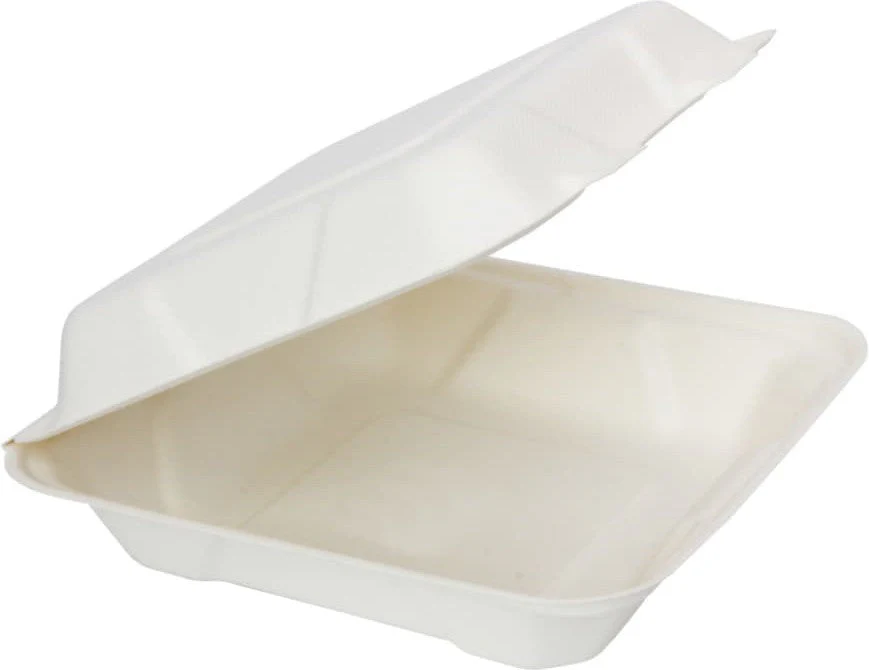 RiteEarth - Bagasse Hinged Containers - 8x8 - 150ct - Case