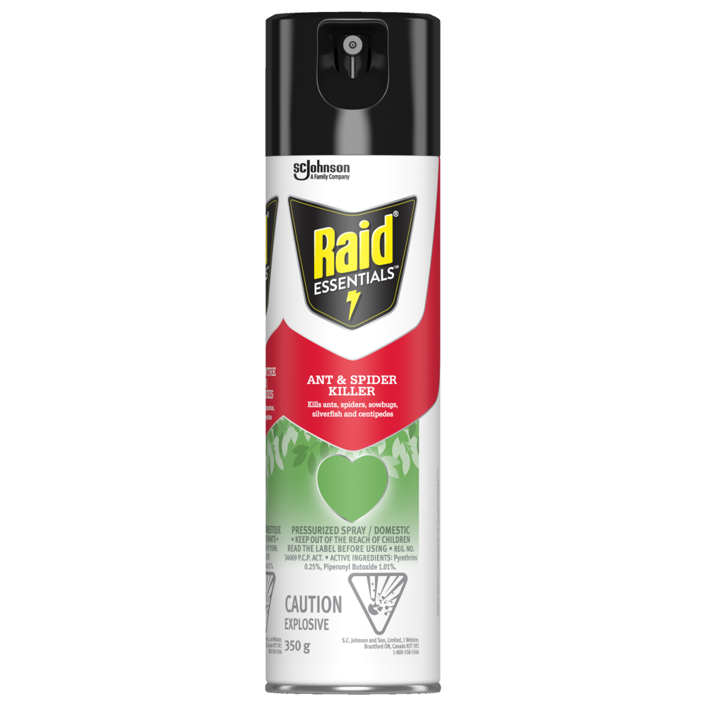 Raid - Ant & Spider Killer - 350g - Each